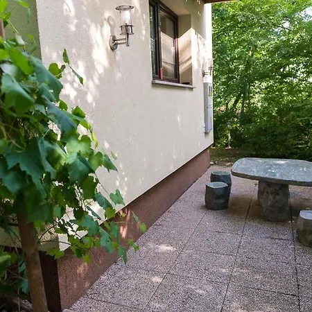 Drulovka House * 克拉尼