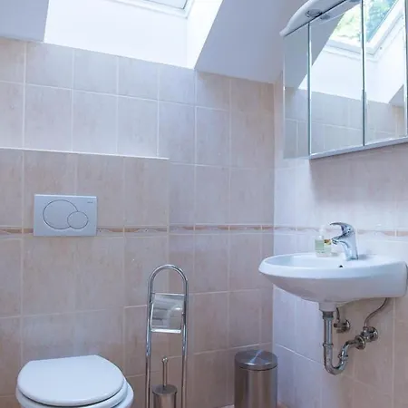 Apartment Drulovka House